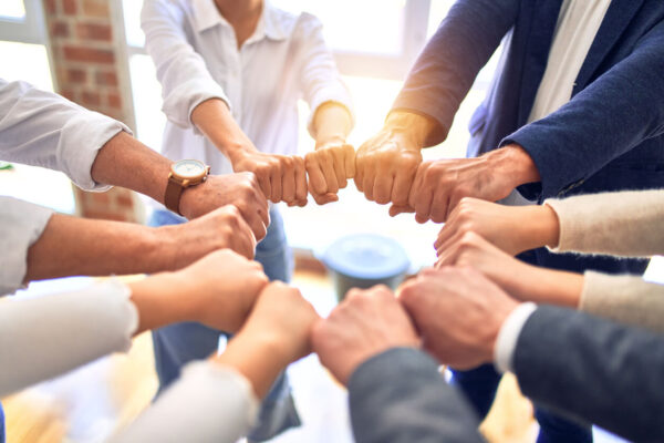 TRABAJO EN EQUIPO